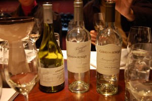 O Chile vem se destacando na produção de vinhos brancos, muito elegantes e que refletem com fidelidade o terroir local apropriado para o cultivo de cepas brancas
