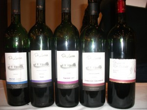 De Lucca: vinhos que respeitam o caráter varietal de cada cepa - da esquerda para direita - Merlot, Syrah, Tannat, Cabernet Sauvignon e Rio Colorado Reserva 2006 