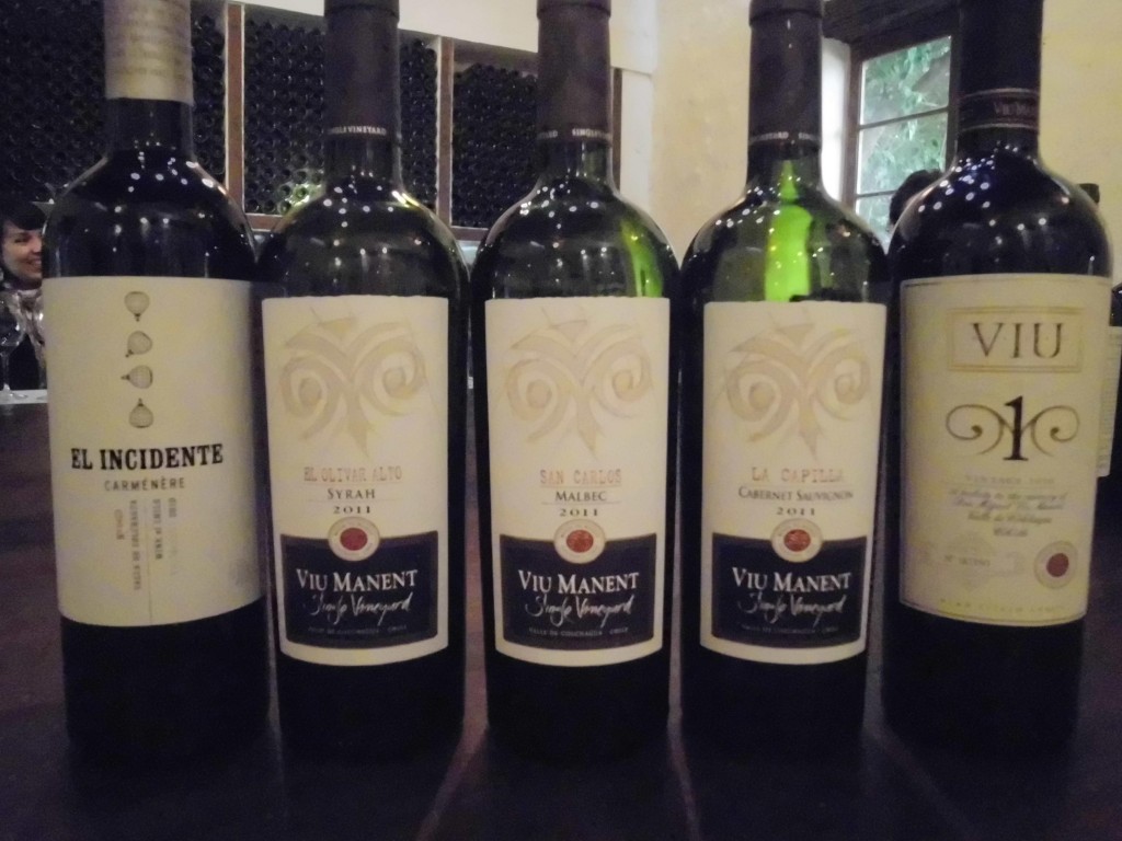 El Incidente, Single Vineyard e Viu 1 - A Viu Manent tem um dos portfólios mais consistentes dentre as vinícolas do Chile