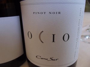 Ocio Pinot Noir - um dos mais antigos e consistentes Pinots de alta gama do Chile.