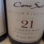 Single Vineyard Viento Mar - novidade que vem do Vale de San Antonio