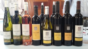 Os vinhos da Quinta do Vallado estavam lá. E fizeram bonito num dos portfólios mais completos do Douro 