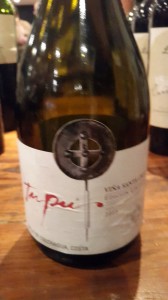 O vinho top da Viña Santa Cruz: Tupu 