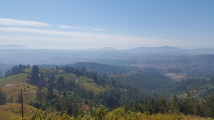 Visita Itata Profundo - Incrível vista do Vale de Itata do mirador "Cerro Verde"