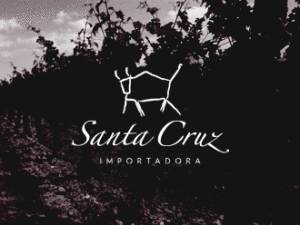 Santa Cruz banner
