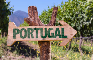 Portugal wooden sign with winery background